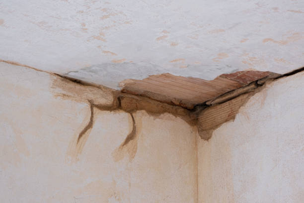Best Professional water damage repair  in Fair Grove, MO