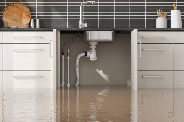 Best Ceiling water damage repair  in Fair Grove, MO