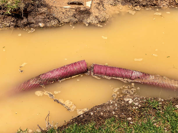  Fair Grove, MO Water damage restoration Pros